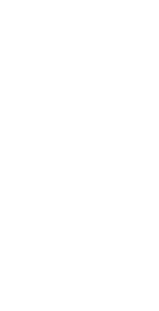 Side Mask